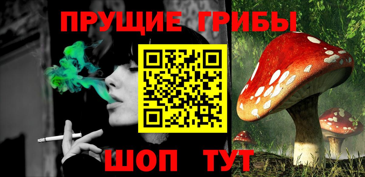 Гудермес  Галлюциногенные грибы Cubensis  Галлюциногенные грибы GOLDEN TEACHER  Вход с VPN 