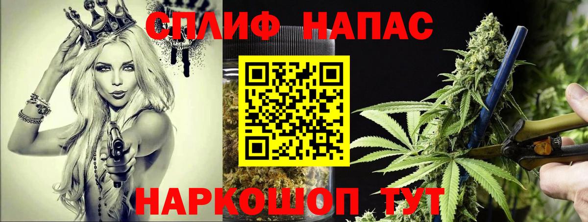Шишки марихуана тримм  МАРИХУАНА тримм  Гудермес  Вход с VPN  Бошки марихуана гибрид 